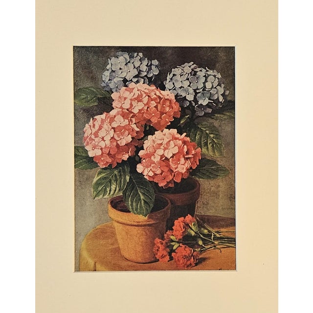 This is a set of 2 matted decorative aquarelle designs by the French painter, Madeleine Renaud (1900-1994). They came from...