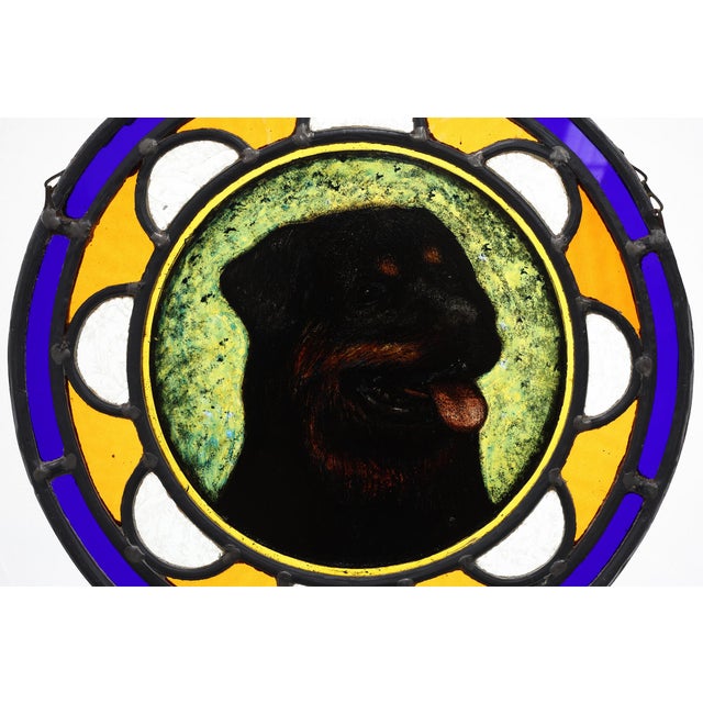 Art Deco Stained Glass Roundel with Rottweiler Dog, Belgium, 1890s For Sale - Image 6 of 11