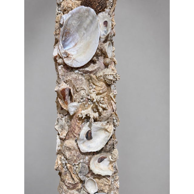 Monumental Coastal Boho Grotto Seashell Coral Oyster Shellwork Mirror 6' X 4' For Sale In Providence - Image 6 of 9