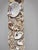 Monumental Coastal Boho Grotto Seashell Coral Oyster Shellwork Mirror 6' X 4' For Sale In Providence - Image 6 of 9