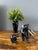 Vintage Hand Carved Ebony Elephant Set For Sale - Image 4 of 9