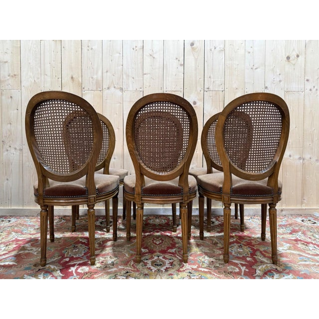 Louis XVI Medallion Chairs in Wood and Caning, 1960s, Set of 6 For Sale - Image 3 of 9
