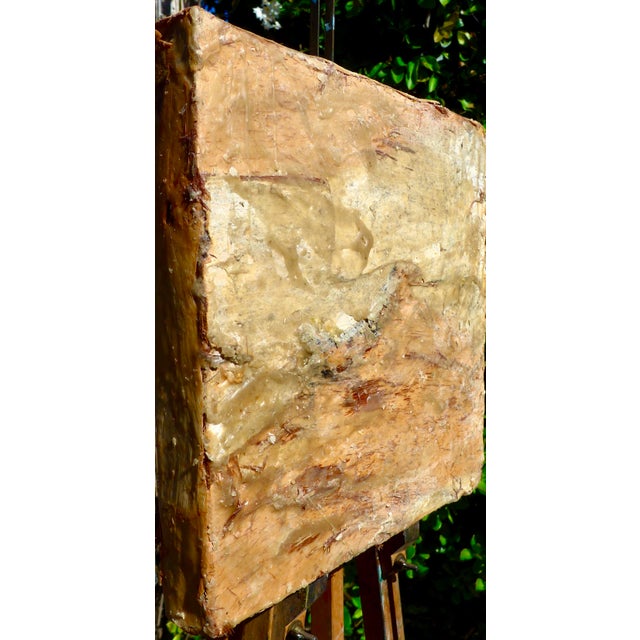 Contemporary Eucalyptus as Nature For Sale - Image 3 of 5