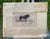 Paper Rare 1840s Wild Sheland Pony 'Poney" Hand Colored Etching Sir William Jardine For Sale - Image 7 of 9