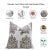 Fabdivine Traditional Block Print Pillow Cover 22x22 Inch Thick Cotton White- Vrindavan For Sale - Image 4 of 4