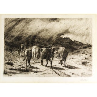 Late 19th Century Cattle Etching on Parchment by Peter Moran For Sale