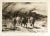 Late 19th Century Cattle Etching on Parchment by Peter Moran For Sale
