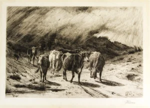Late 19th Century Cattle Etching on Parchment by Peter Moran