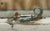 Antique French Hand-Painted Liqueurs Champagne For Sale - Image 9 of 14