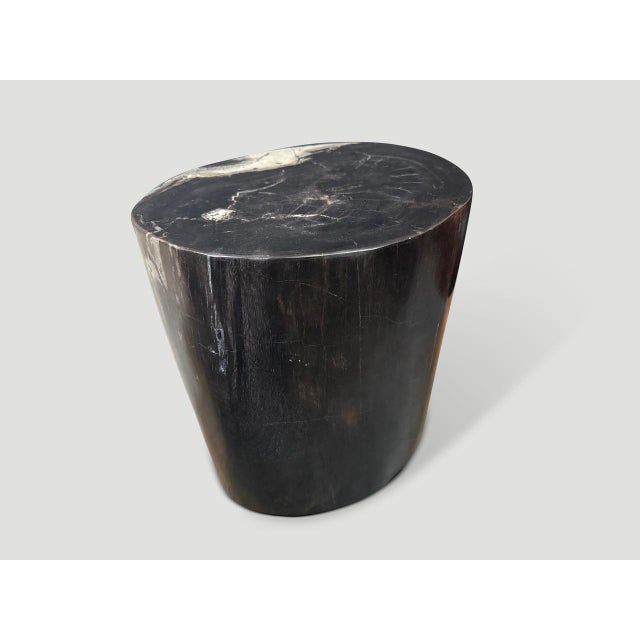 Andrianna Shamaris Impressive Ancient Petrified Wood Side Table For Sale - Image 4 of 6