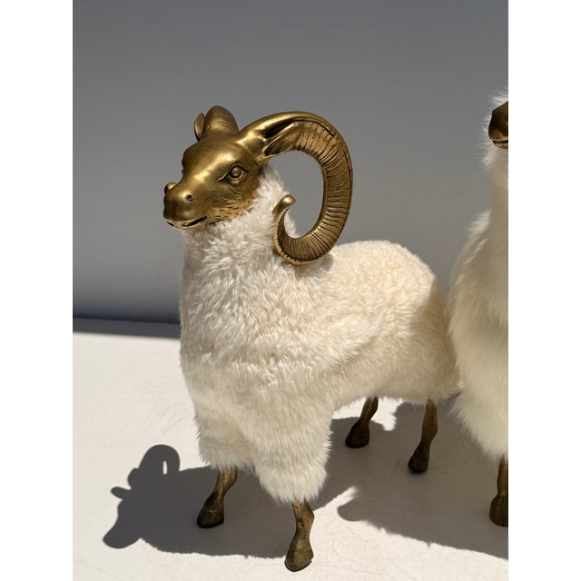 White 1970s Set of Brass and Fur Mountain Sheep Ram Sculptures - Set of 3 For Sale - Image 8 of 12