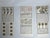 1960s Illustrated Softcover Portfolio, Alice L. Waters's Thirty Recipes Suitable for Framing - 1 Piece For Sale In San Francisco - Image 6 of 9