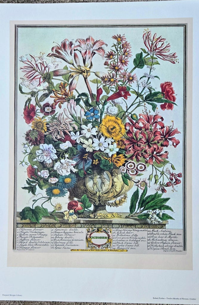 1970s Vintage Robert Furber October Botanical From 