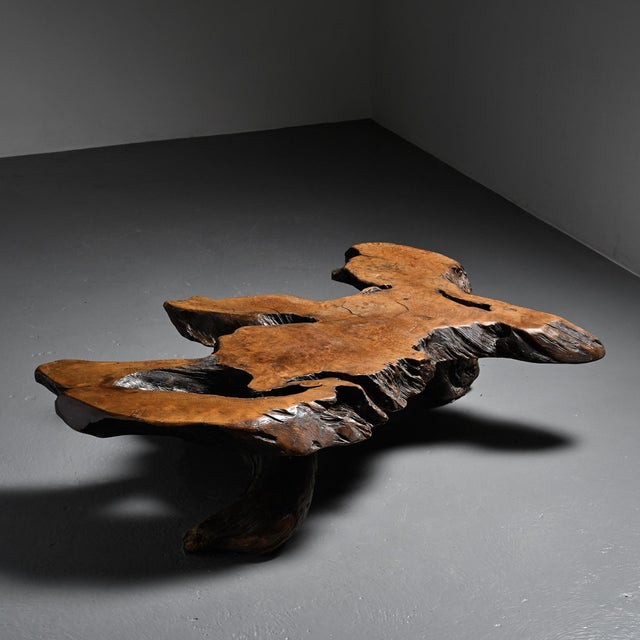 Brutalist Elm Burl Coffee Table, 1960 For Sale - Image 15 of 15