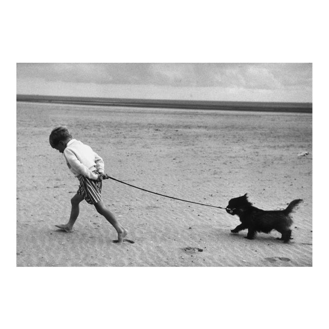 Walking the Dog, 1959), Silver Gelatin Fibre Print, 1980 For Sale