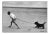 Walking the Dog, 1959), Silver Gelatin Fibre Print, 1980 For Sale