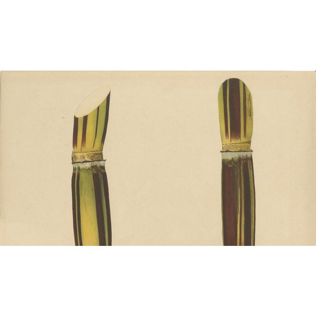 Late 19th Century Sugarcane, 1892, Paper For Sale - Image 5 of 10