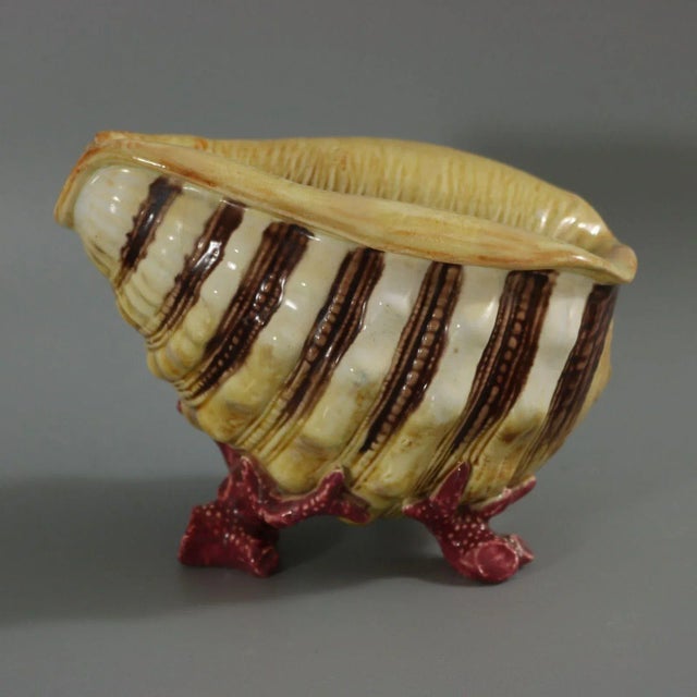 White Minton Majolica Volute Shell Spoon Warmer For Sale - Image 8 of 13