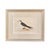 Late 19th Century 19th Century English Bird Engravings by Alexander Francis Lydon, Set 12 For Sale - Image 5 of 18