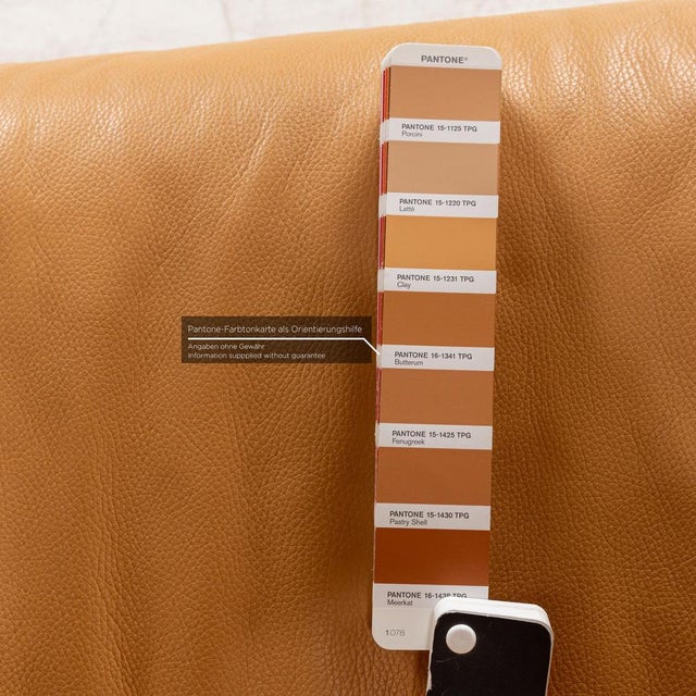 Leather Two-Seater Brown Sofa by Jori Linea For Sale - Image 6 of 14