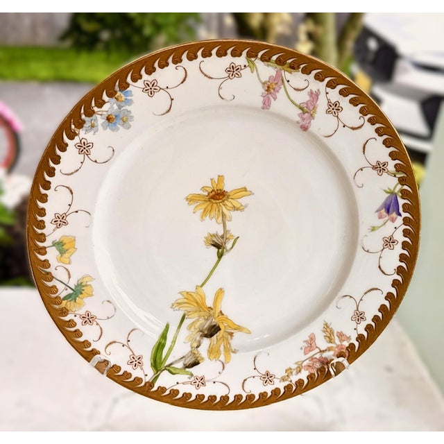 Haviland & Co. Antique German Fischer & Mieg Pirkenhammer Dinner Plates - Set of 4 For Sale - Image 4 of 15