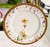 Haviland & Co. Antique German Fischer & Mieg Pirkenhammer Dinner Plates - Set of 4 For Sale - Image 4 of 15