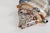 Set of 3 Mid-Century French Majolica Fish Wall Plaques | Mid-Century Vallauris Pottery For Sale - Image 4 of 18