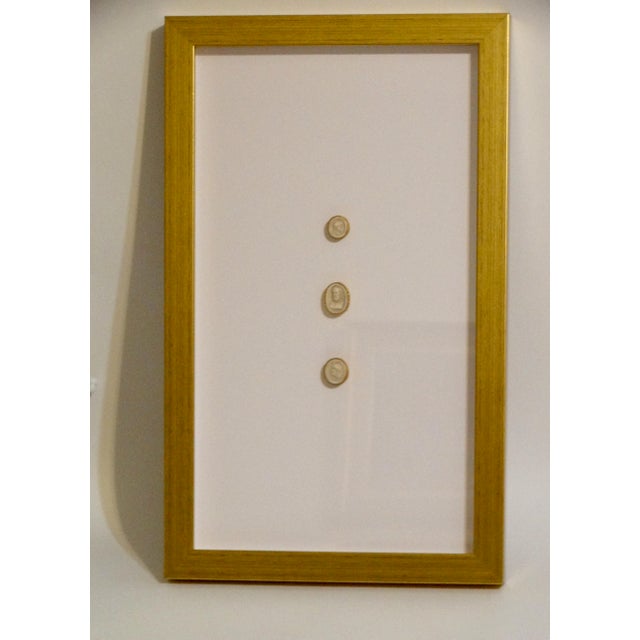 Early 19th Century 1820's Framed Genuine Antique Grand Tour Intaglios, Set of 2 For Sale - Image 5 of 12