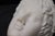 Head of a Young Bacchus, 20th Century, White Marble Sculpture For Sale - Image 6 of 12