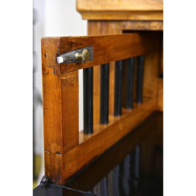 Brown Antique Biedermeier Chest of Drawers, Austria, 1830 For Sale - Image 8 of 18