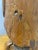 Brown 18th Century Portuguese Madonna & Child For Sale - Image 8 of 12
