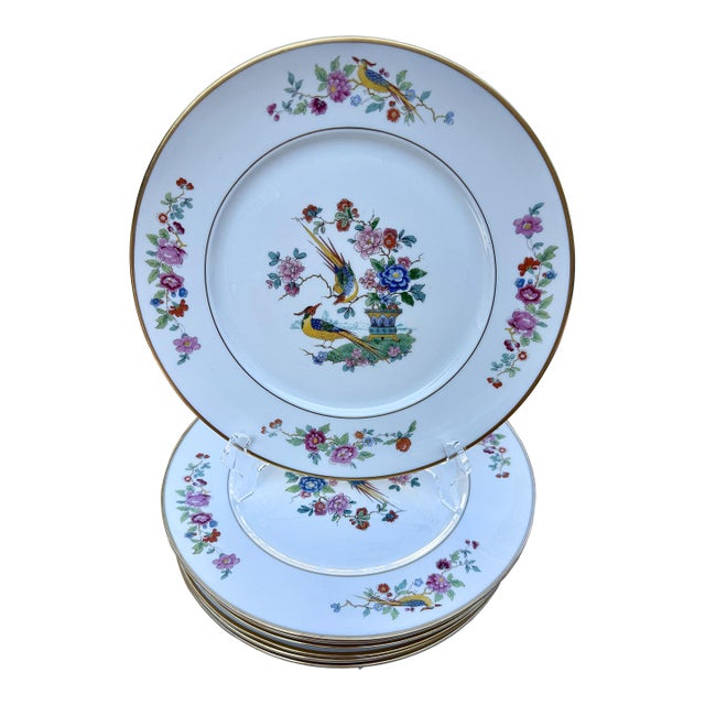 Mid Century Lamberton China Audubon Collection - Bird of Paradise - 8 Dinner Plates For Sale