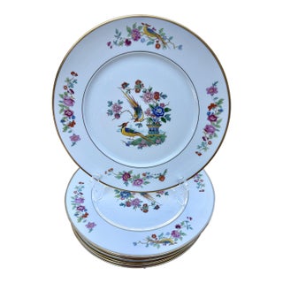 Vintage Lamberton China Audubon Collection - Bird of Paradise - 8 Dinner Plates For Sale