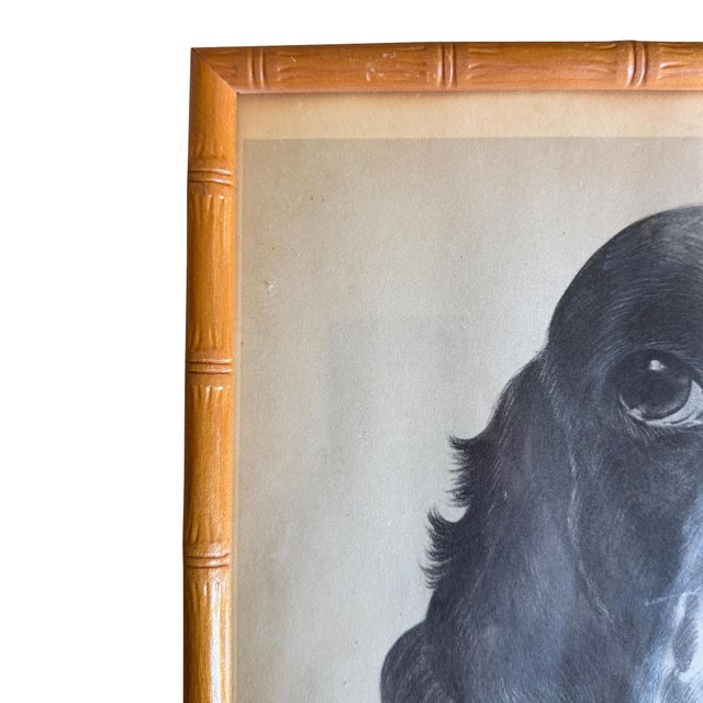 Mid-Century Modern Mid 20th Century Ray De Santis Sporting Dog Portrait, English Cocker Spaniel in Bamboo Frame For Sale - Image 3 of 8