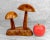 Vintage Boho MonkeyPod Carved Mushroom Toothpick Holder, c.1970's - Pairs Nicely with Many Mid-Century & Eclectic Interior...