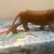 Mid-Century Modern Mid-Century Modern Hand-Carved Teak Wood Roaring Lion Sculpture For Sale - Image 3 of 12