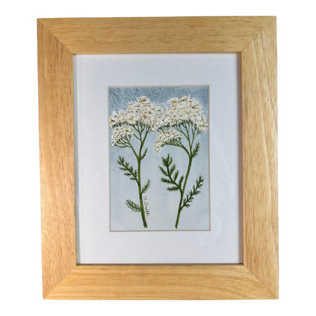“Yarrow Pair in Bloom” Original Watercolor Painting Signed and Framed For Sale