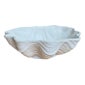 Shop Good Earth Vintage