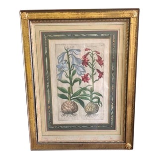Emanuel Sweert - Florilegium Botanical - 1612 For Sale