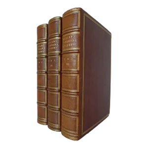 Mid 19th Century Leather Volume Set, Henry Hallam's Introduction to the Literature of Europe, in the 15th, 16th, and 17th Centuries - 3 Books