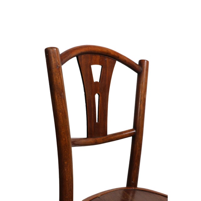Pr. Vienna Secessionist School Bentwood Chairs Made in Poland Att. To
