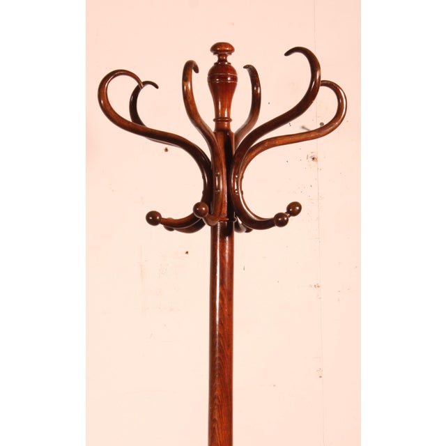 Early 20th Century Art Nouveau Parrot Coat Rack For Sale - Image 3 of 10