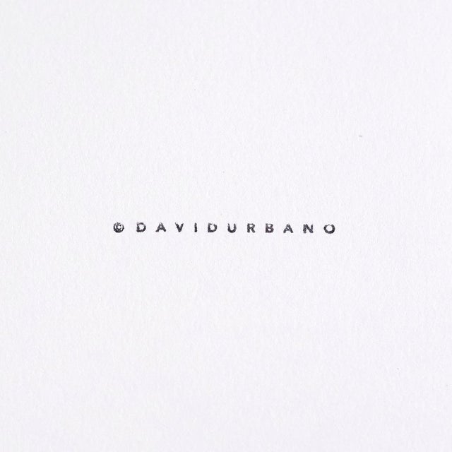 The Rose Garden Prints by David Urbano, 2018, Set of 9 For Sale - Image 18 of 18