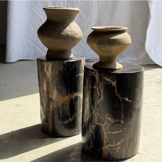 Small side table in black petrified wood with beige streaks. Petrified wood is a fossilized wood (from the same family as...