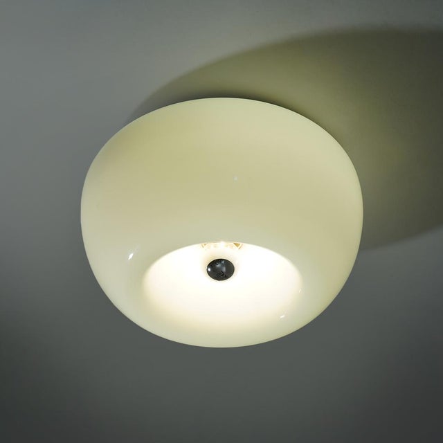 Flos Velella Ceiling Light by the Castiglioni Brothers for Flos, 1960s For Sale - Image 4 of 14