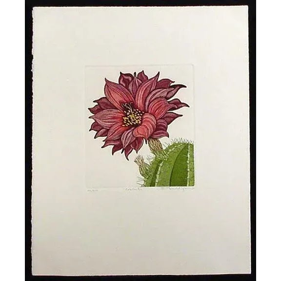 Realism 1981 Portfolio of Cactus Flower Etchings After Arnold Iger - Set of 5 For Sale - Image 3 of 13