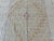 Handmade Mushwani Kilim Rug Muted Gold Wool Hand-Knotted Rug - 6'7" X 9'5" For Sale - Image 6 of 12