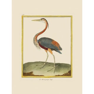Great Blue Heron by Martinet Blue and Pink Giclee Reproductions For Sale