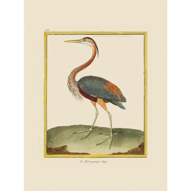 Great Blue Heron by Martinet Blue and Pink Giclee Reproductions For Sale