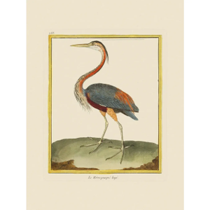 Great Blue Heron by Martinet Blue and Pink Giclee Reproductions
